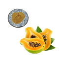 Supply Carica Papaya Extract/Papaya Fruit Extract Powder